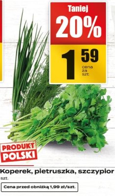 Koperek, pietruszka, szczypior Supeco promocja w Supeco