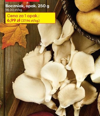 Boczniak opak. 250 g 1+1 GRATIS promocja w Biedronka