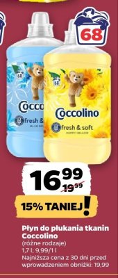 Płyn do płukania tkanin Coccolino promocja w Netto