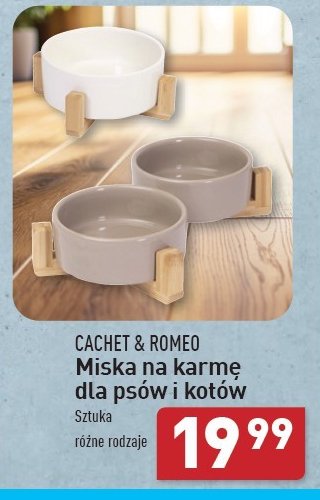 Miska na karmę Cachet&romeo promocja w Aldi