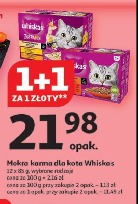 Potrawka w galaretce smaki wołowe Whiskas promocja