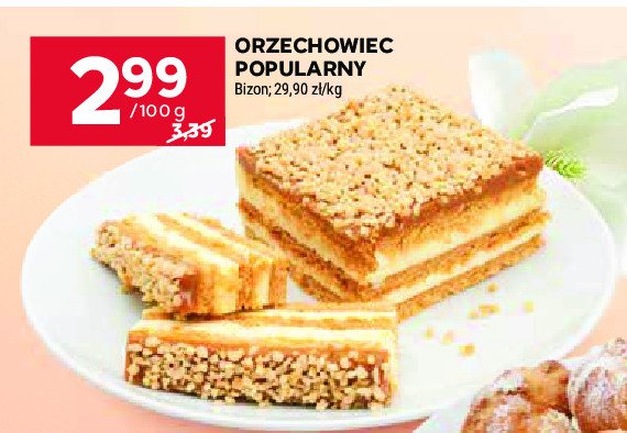 Orzechowiec popularny Bizon promocja