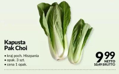 Kapusta Pak Choi promocja w Makro