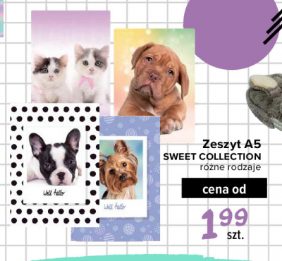 Zeszyt a5/32 k. linia sweet collection Verte promocja