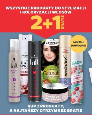 Produkty do stylizacji i koloryzacji włosów promocja w Netto