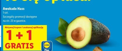 Awokado Hass promocja w Lidl