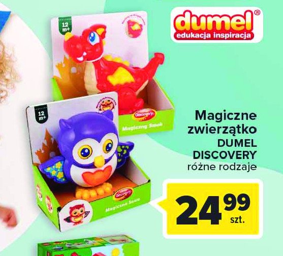 Magiczna sowa Dumel discovery promocja