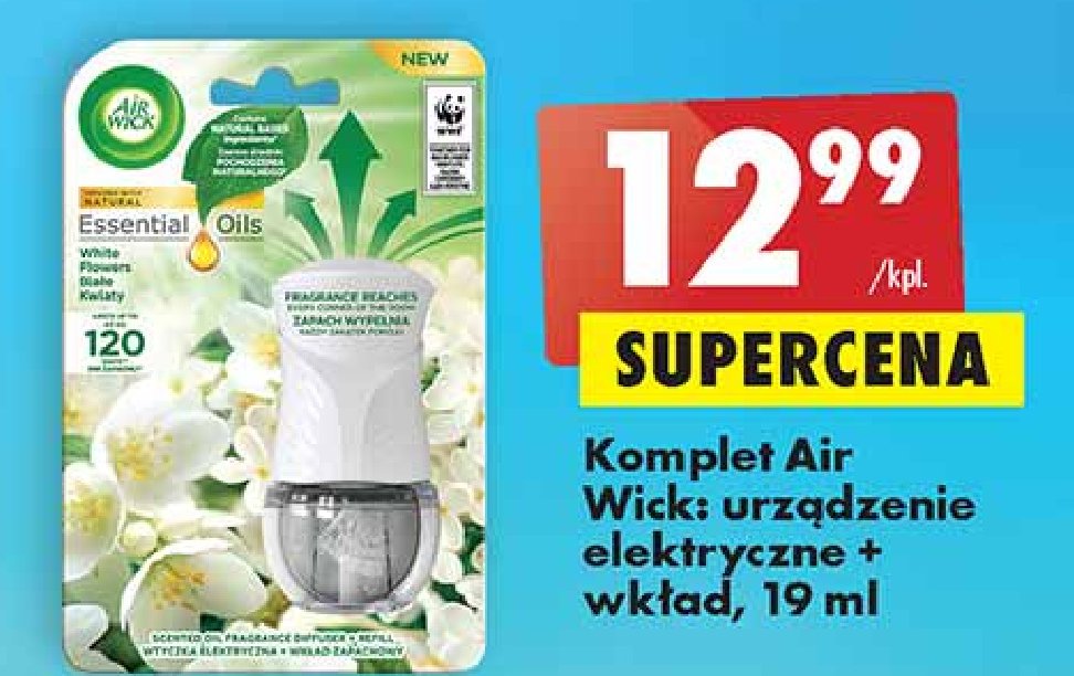Urządzenie + wkład białe kwiaty Air wick electric essential oils promocje