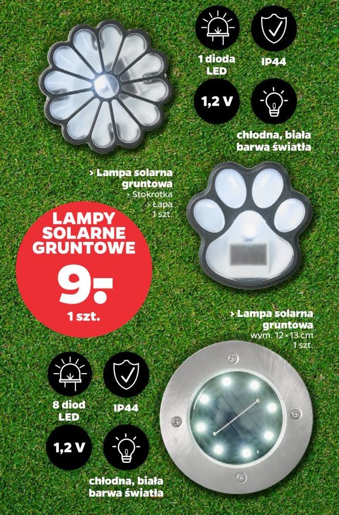 Lampa solarna gruntowa stokrotka promocja w Netto