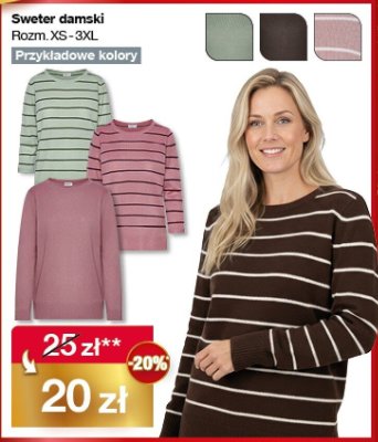 Sweter damski s-xxxl promocja w Woolworth