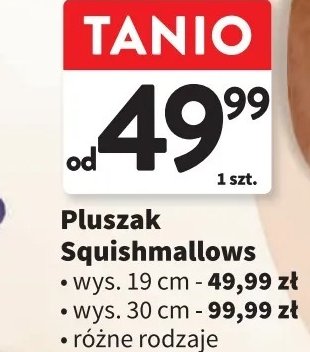 Squishmallows 19 cm ORBICO promocja