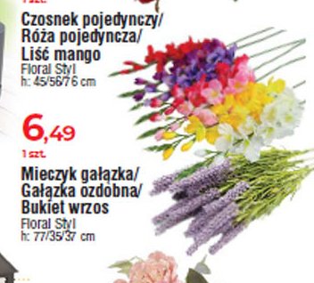 Mieczyk Floral styl promocja
