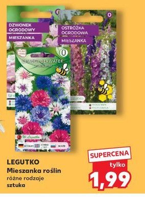 Dzwonek ogrodowy W. legutko promocja w Kaufland