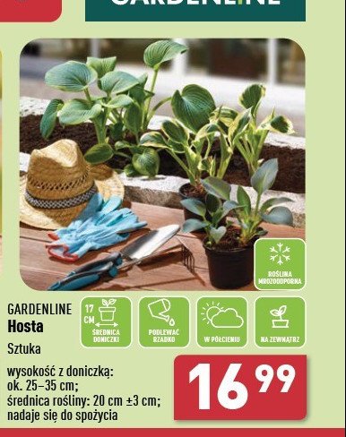 Hosta GARDEN LINE promocja