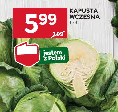 Kapusta wczesna promocja