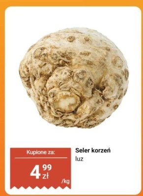 Seler korzeń luz promocja w Biedronka
