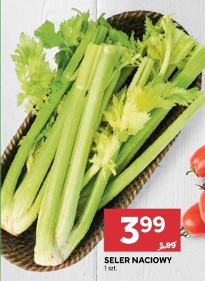Seler naciowy 1szt. promocja w Stokrotka