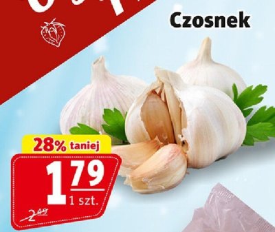 Czosnek Czosnek promocja w Prim Market