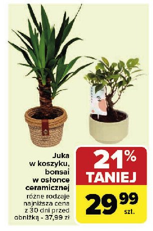 Juka promocja w Carrefour Market