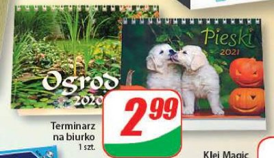 Terminarz na biurko promocja w Selgros