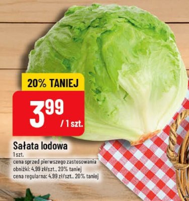 Sa艂ata lodowa hiszpania Pole do popisu promocja w POLOmarket