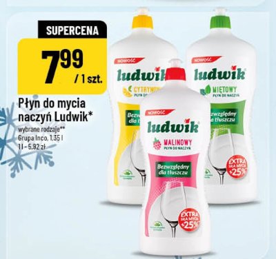 Płyn do mycia naczyń Ludwik promocja w POLOmarket