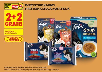 Karma i przysmaki dla kota, różne rodzaje 2+2 GRATIS promocja w Biedronka