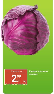 Kapusta promocja w Dino