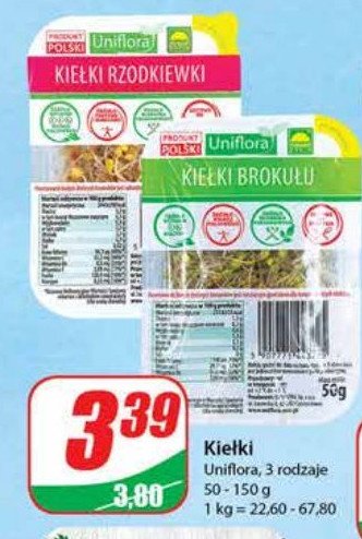 Kie艂ki broku艂a Uniflora promocja