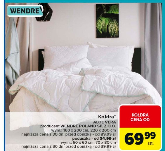 Kołdra aloe vera 220 x 200 cm Wendre promocja w Carrefour