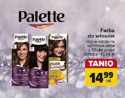 Szampon do koloryzacji włosów orzechowy blond 317 Palette color shampoo promocja