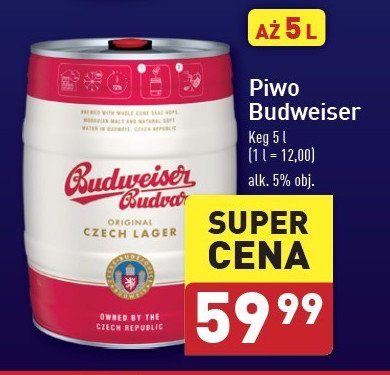 Piwo b: original Budweiser budvar promocja w Aldi