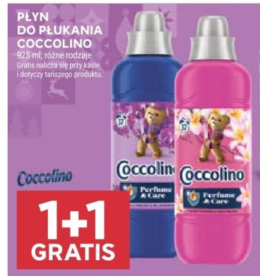 Płyn do płukania Coccolino promocja w Stokrotka