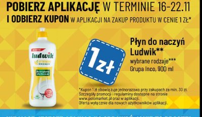 Płyn do mycia naczyń cytrynowy Ludwik promocja
