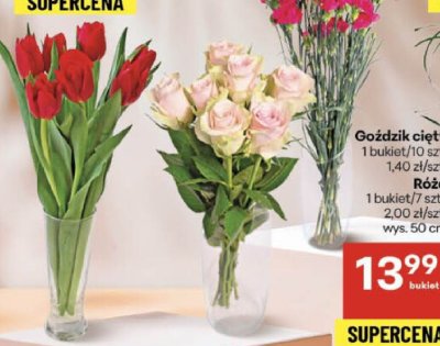 Goździk cięty promocja w Delikatesy Centrum