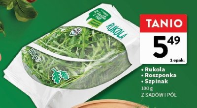 Rukola promocja w Intermarche