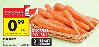Marchew promocja w Intermarche
