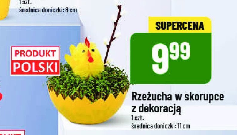 Rze偶ucha wielkanocna promocja