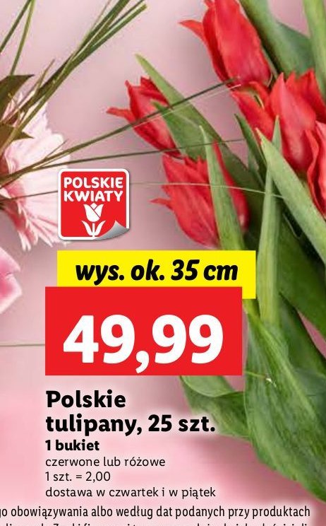 Tulipany polskie promocja