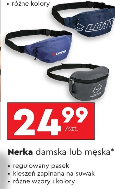 Nerka męska Lotto promocja w Biedronka