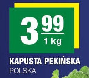 Kapusta pekińska Polska promocja w SPAR