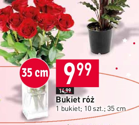Róża 35 cm promocja