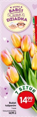 Bukiet tulipanów promocja w Żabka
