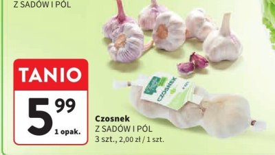 Czosnek 3 szt. Z SADÓW I PÓL promocja w Intermarche