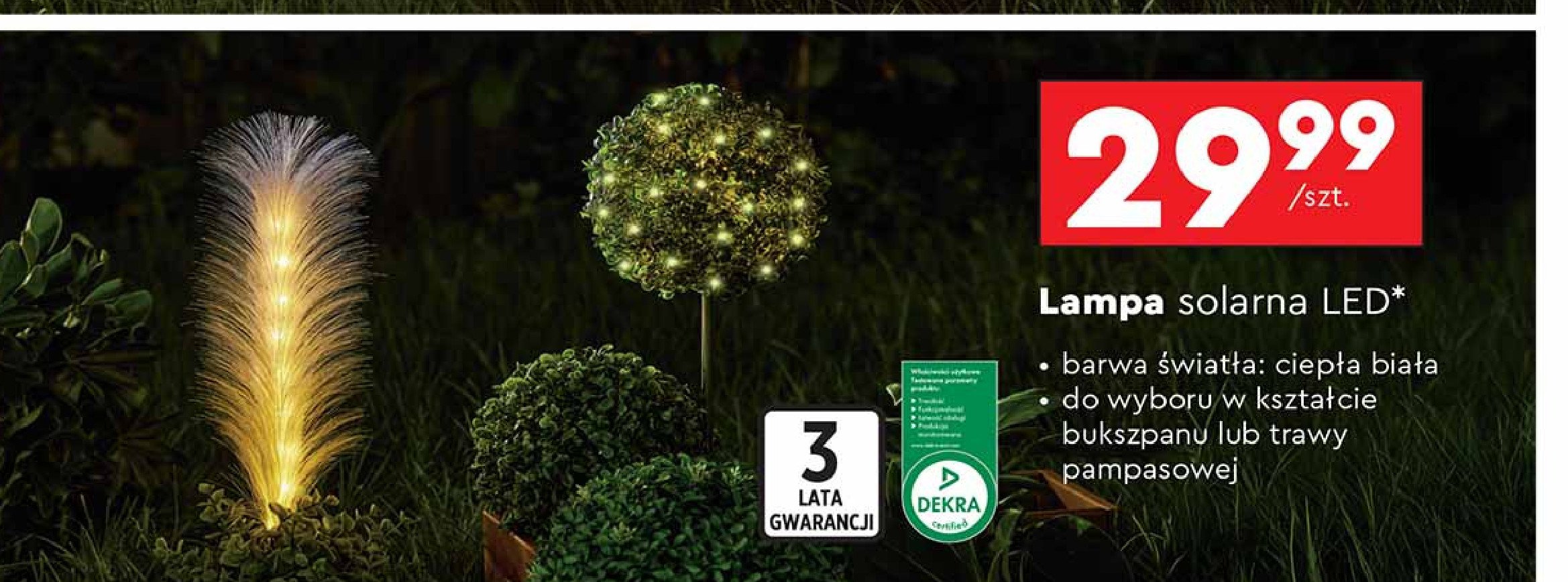 Lampa solarna trawa pampasowa promocja w Biedronka