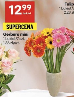 Gerbera mini 1 bukiet/7 szt. promocja w Delikatesy Centrum