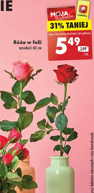 Róża w folii promocja