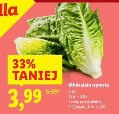 Minisałata rzymska promocja w Lidl