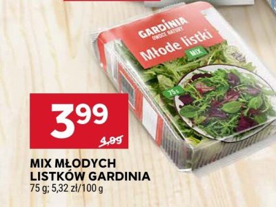 Mix młodych listków Gardinia promocja w Stokrotka