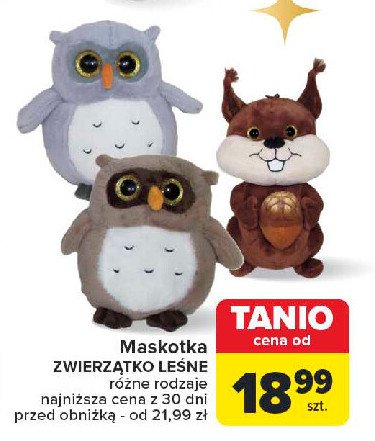 Maskotka sowa promocja w Carrefour Market